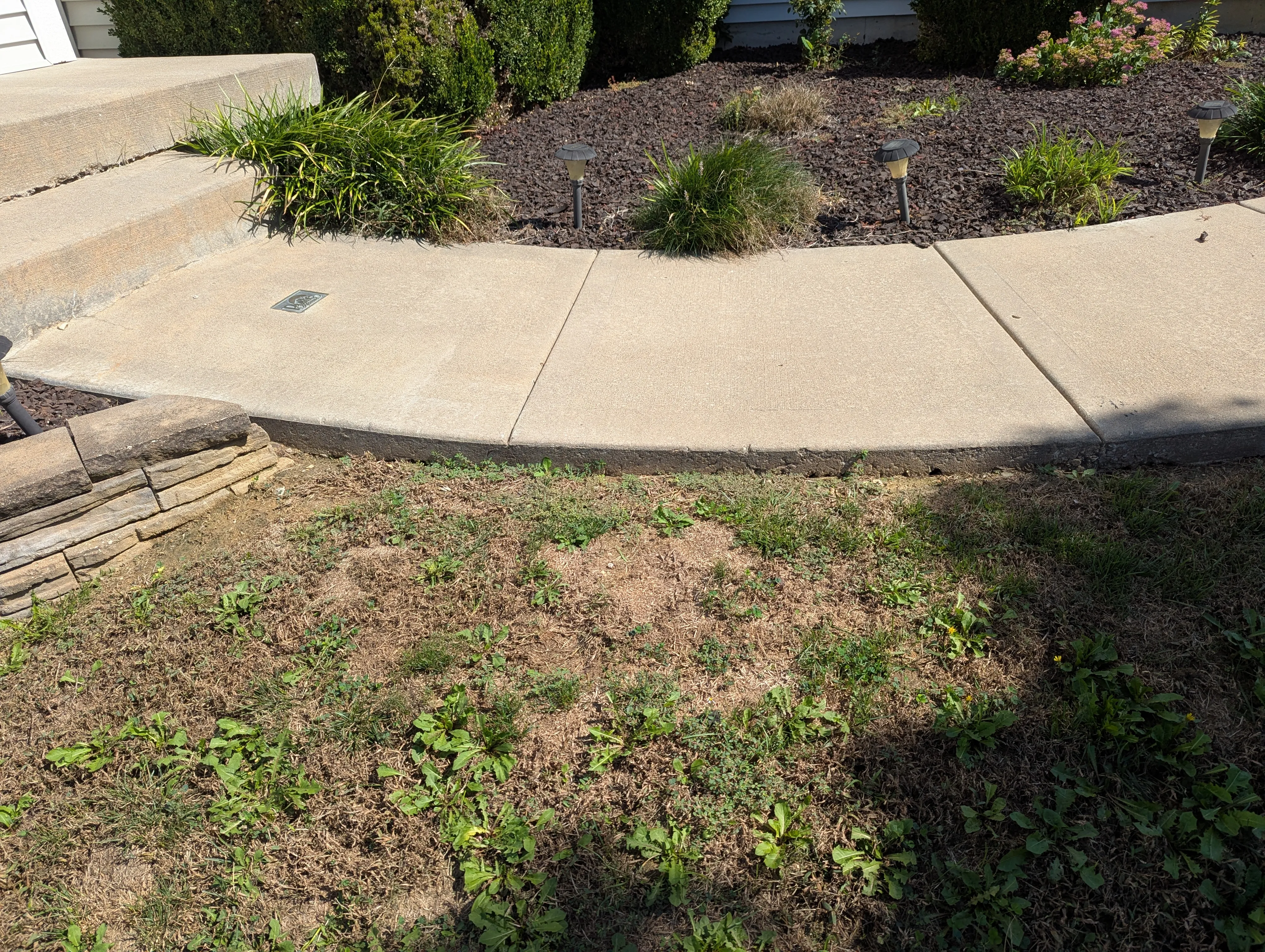 Settled sidewalk before leveling